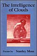 The Intelligence of Clouds