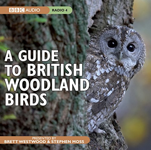 A Guide To British Woodland Birds