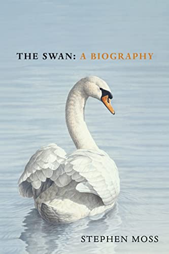 The Swan: A Biography (The Bird Biography Series, 4) von Square Peg