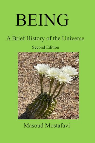 BEING: A Brief History of the Universe von ISBN Services