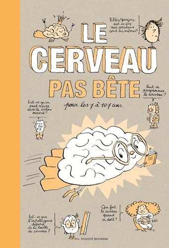 Le cerveau pas bête