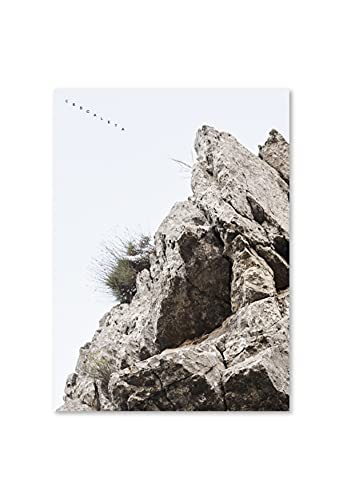 L'Escaleta: El Sabor de la Montaña Mágica von ABALON BOOKS