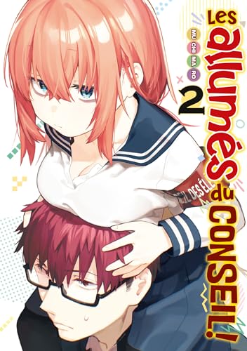 Les allumés du conseil ! - Tome 02 von Meian