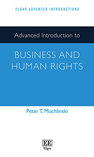 Advanced Introduction to Business and Human Rights (Elgar Advanced Introductions)