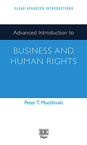 Advanced Introduction to Business and Human Rights (Elgar Advanced Introductions)