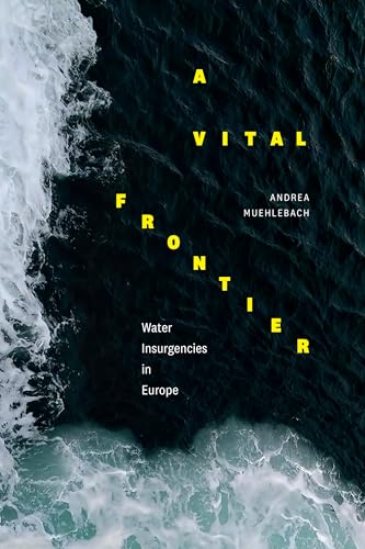 A Vital Frontier: Water Insurgencies in Europe