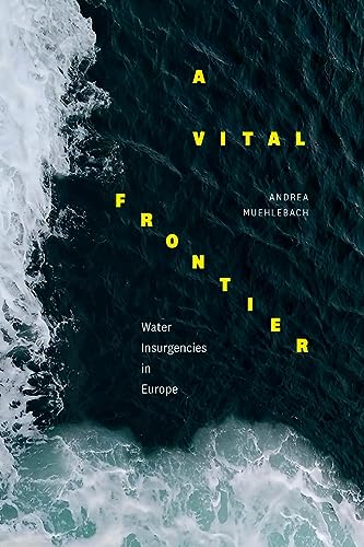 A Vital Frontier: Water Insurgencies in Europe von Combined Academic Publ.