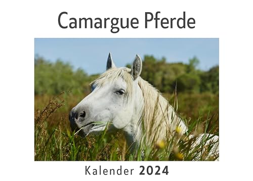 Camargue Pferde (Wandkalender 2024, Kalender DIN A4 quer, Monatskalender im Querformat mit Kalendarium, Das perfekte Geschenk)