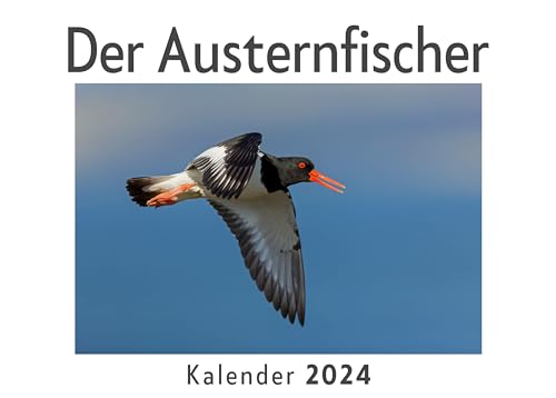 Der Austernfischer (Wandkalender 2024, Kalender DIN A4 quer, Monatskalender im Querformat mit Kalendarium, Das perfekte Geschenk) von 27amigos