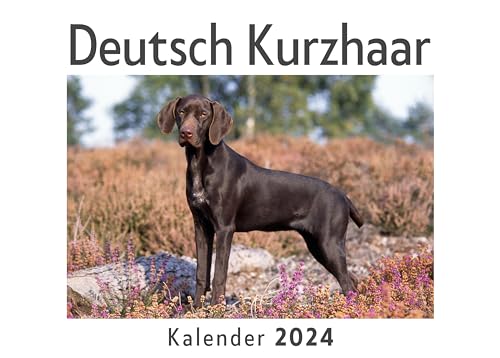 Deutsch Kurzhaar (Wandkalender 2024, Kalender DIN A4 quer, Monatskalender im Querformat mit Kalendarium, Das perfekte Geschenk)