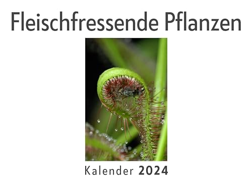 Fleischfressende Pflanzen (Wandkalender 2024, Kalender DIN A4 quer, Monatskalender im Querformat mit Kalendarium, Das perfekte Geschenk)