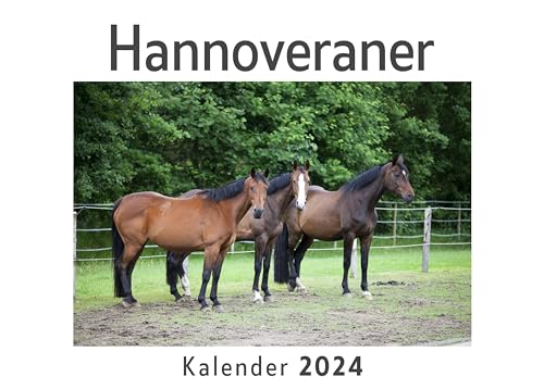 Hannoveraner (Wandkalender 2024, Kalender DIN A4 quer, Monatskalender im Querformat mit Kalendarium, Das perfekte Geschenk)