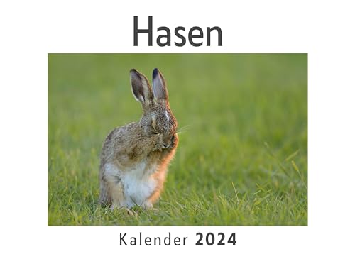 Hasen (Wandkalender 2024, Kalender DIN A4 quer, Monatskalender im Querformat mit Kalendarium, Das perfekte Geschenk)