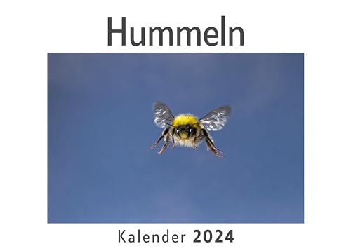 Hummeln (Wandkalender 2024, Kalender DIN A4 quer, Monatskalender im Querformat mit Kalendarium, Das perfekte Geschenk)