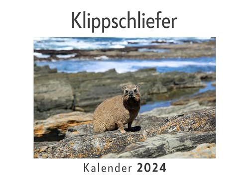 Klippschliefer (Wandkalender 2024, Kalender DIN A4 quer, Monatskalender im Querformat mit Kalendarium, Das perfekte Geschenk)