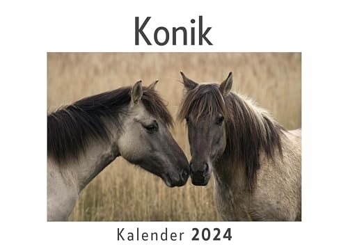 Konik (Wandkalender 2024, Kalender DIN A4 quer, Monatskalender im Querformat mit Kalendarium, Das perfekte Geschenk)