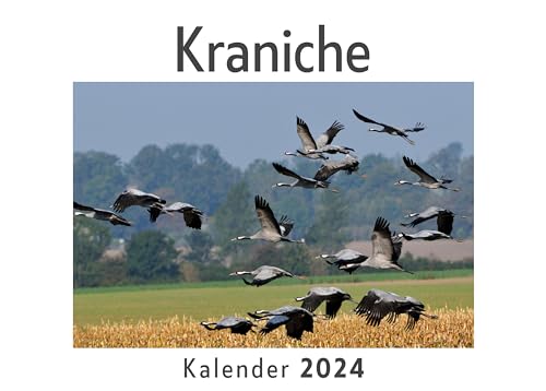 Kraniche (Wandkalender 2024, Kalender DIN A4 quer, Monatskalender im Querformat mit Kalendarium, Das perfekte Geschenk)