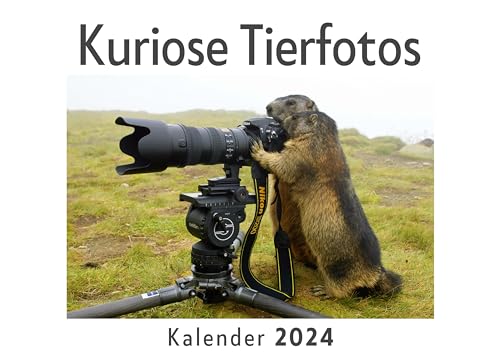 Kuriose Tierfotos (Wandkalender 2024, Kalender DIN A4 quer, Monatskalender im Querformat mit Kalendarium, Das perfekte Geschenk) von 27amigos