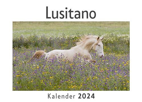 Lusitano (Wandkalender 2024, Kalender DIN A4 quer, Monatskalender im Querformat mit Kalendarium, Das perfekte Geschenk)