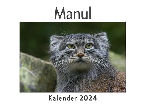 Manul (Wandkalender 2024, Kalender DIN A4 quer, Monatskalender im Querformat mit Kalendarium, Das perfekte Geschenk)