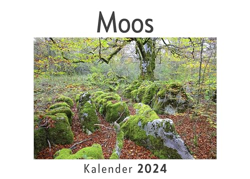 Moos (Wandkalender 2024, Kalender DIN A4 quer, Monatskalender im Querformat mit Kalendarium, Das perfekte Geschenk) von 27amigos
