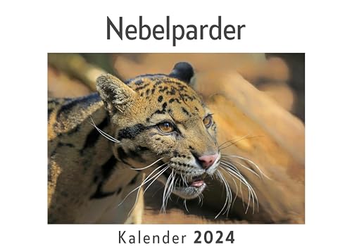 Nebelparder (Wandkalender 2024, Kalender DIN A4 quer, Monatskalender im Querformat mit Kalendarium, Das perfekte Geschenk) von 27amigos