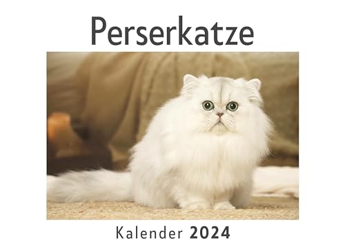Perserkatze (Wandkalender 2024, Kalender DIN A4 quer, Monatskalender im Querformat mit Kalendarium, Das perfekte Geschenk)