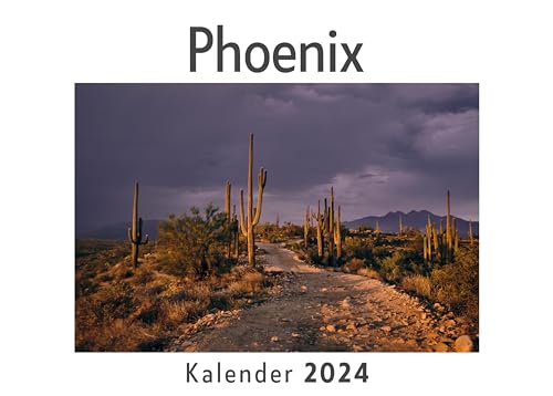 Phoenix (Wandkalender 2024, Kalender DIN A4 quer, Monatskalender im Querformat mit Kalendarium, Das perfekte Geschenk) von 27amigos