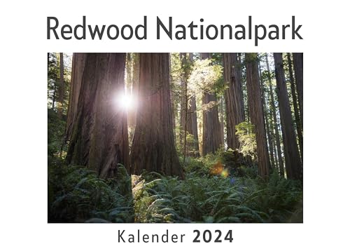 Redwood Nationalpark (Wandkalender 2024, Kalender DIN A4 quer, Monatskalender im Querformat mit Kalendarium, Das perfekte Geschenk)