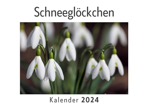 Schneeglöckchen (Wandkalender 2024, Kalender DIN A4 quer, Monatskalender im Querformat mit Kalendarium, Das perfekte Geschenk)