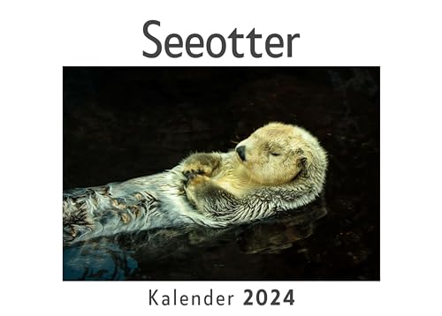 Seeotter (Wandkalender 2024, Kalender DIN A4 quer, Monatskalender im Querformat mit Kalendarium, Das perfekte Geschenk)