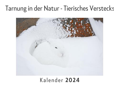 Tarnung in der Natur - Tierisches Versteckspiel (Wandkalender 2024, Kalender DIN A4 quer, Monatskalender im Querformat mit Kalendarium, Das perfekte Geschenk)