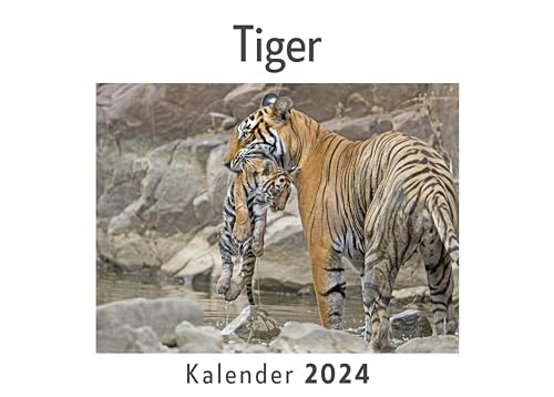 Tiger (Wandkalender 2024, Kalender DIN A4 quer, Monatskalender im Querformat mit Kalendarium, Das perfekte Geschenk)