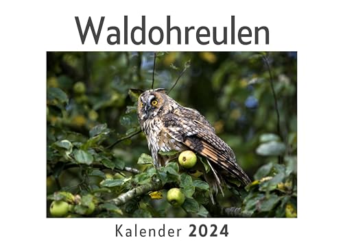 Waldohreulen (Wandkalender 2024, Kalender DIN A4 quer, Monatskalender im Querformat mit Kalendarium, Das perfekte Geschenk)