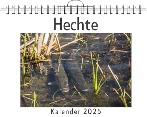 Hechte - (Wandkalender 2025, Kalender DIN A4 quer, Monatskalender im Querformat mit Kalendarium, das perfekte Geschenk) von FlipFlop