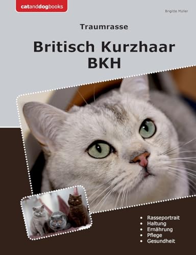 Traumrasse Britisch Kurzhaar: BKH von BoD – Books on Demand