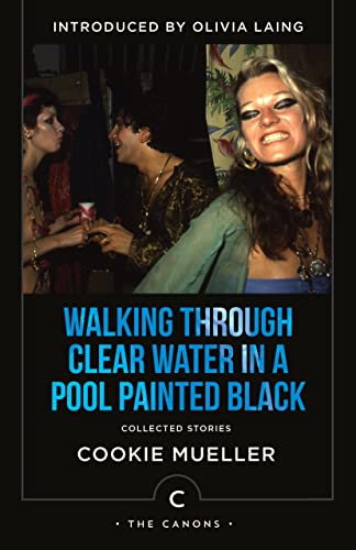 Walking Through Clear Water In a Pool Painted Black: Collected Stories (Canons)