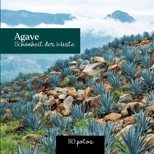 Agave : Schönheit der Wüste: Fotobuch über Agavenpflanzen - 80 fotos von Independently published