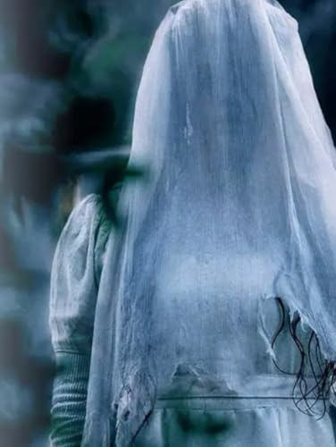 Weeping Mothers, Vengeful Spirits: La Llorona, Medea, and the Archetype of the Destructive Mother (Mythology and history, Band 16) von Independently published