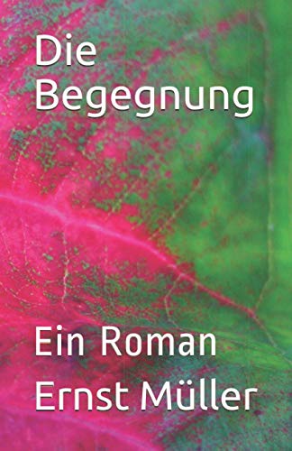 Die Begegnung: Ein Roman von Independently published