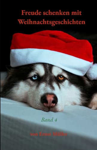 Freude schenken mit Weihnachtsgeschichten: Band 4
