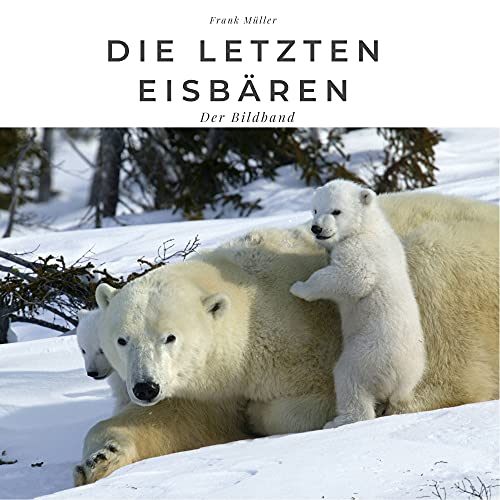 Die letzten Eisbären: Der Bildband von 27 Amigos