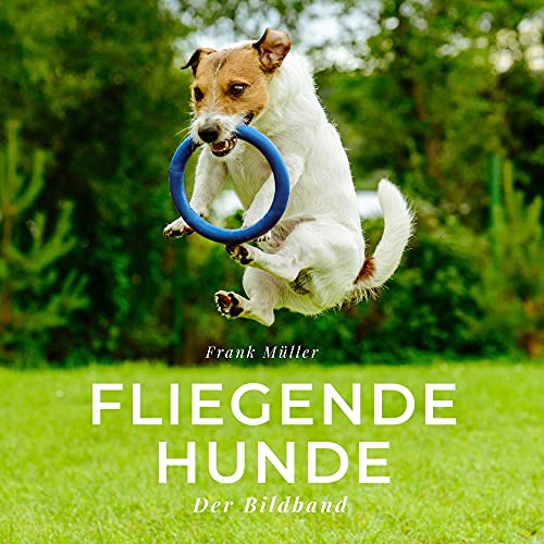 Fliegende Hunde: Der Bildband von 27 Amigos
