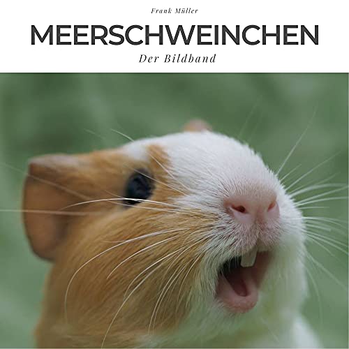 Meerschweinchen: Der Bildband Meerschweinchen: Der Bildband von 27 Amigos