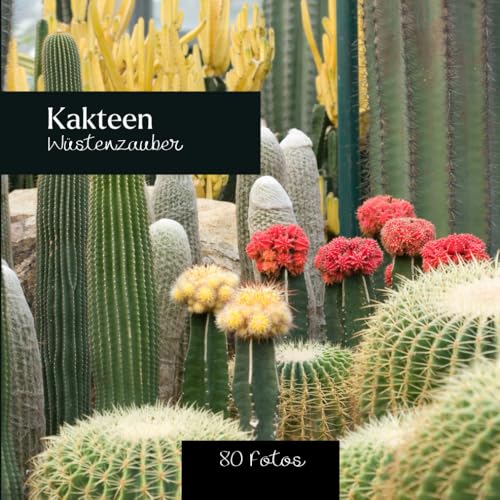 Kakteen : Wüstenzauber: 80 fotos Kakteen : Wüstenzauber: 80 fotos