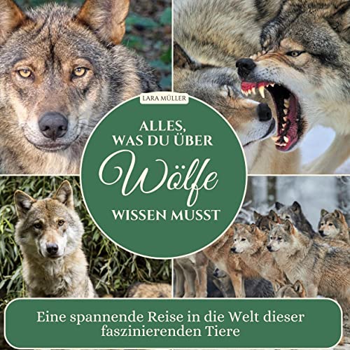 Alles, was du über Wölfe wissen musst: Eine spannende Reise in die Welt dieser faszinierenden Tiere von 27Amigos
