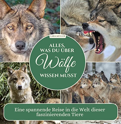Alles, was du über Wölfe wissen musst: Eine spannende Reise in die Welt dieser faszinierenden Tiere