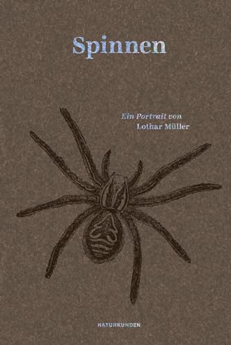 Spinnen: Ein Portrait (Naturkunden) von Matthes & Seitz Verlag