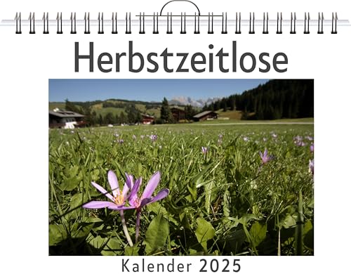 Herbstzeitlose - (Wandkalender 2025, Kalender DIN A4 quer, Monatskalender im Querformat mit Kalendarium, das perfekte Geschenk) von FlipFlop
