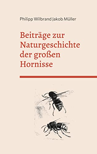 Beiträge zur Naturgeschichte der großen Hornisse Beiträge zur Naturgeschichte der großen Hornisse